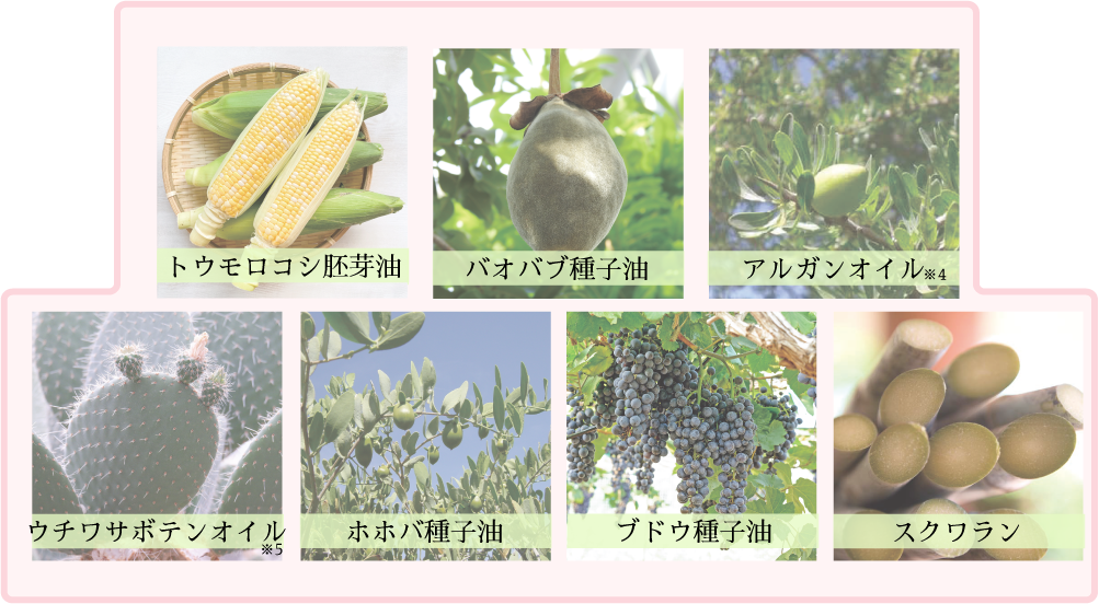7種の美容植物オイル:トウモロコシ胚芽油、バオバブ種子油、アルガンオイル、ウチワサボテンオイル、ホホバ種子油、ブドウ種子油、スクワラン